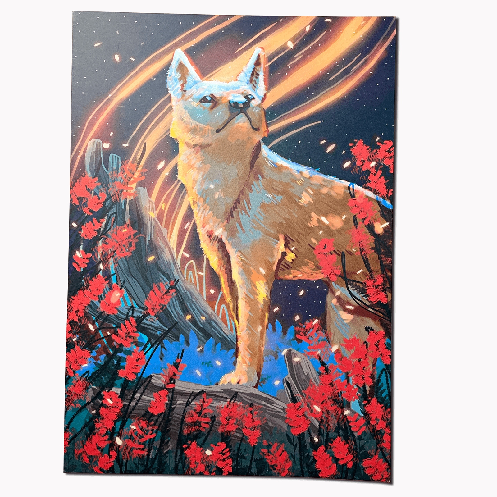 Dingo Art Print