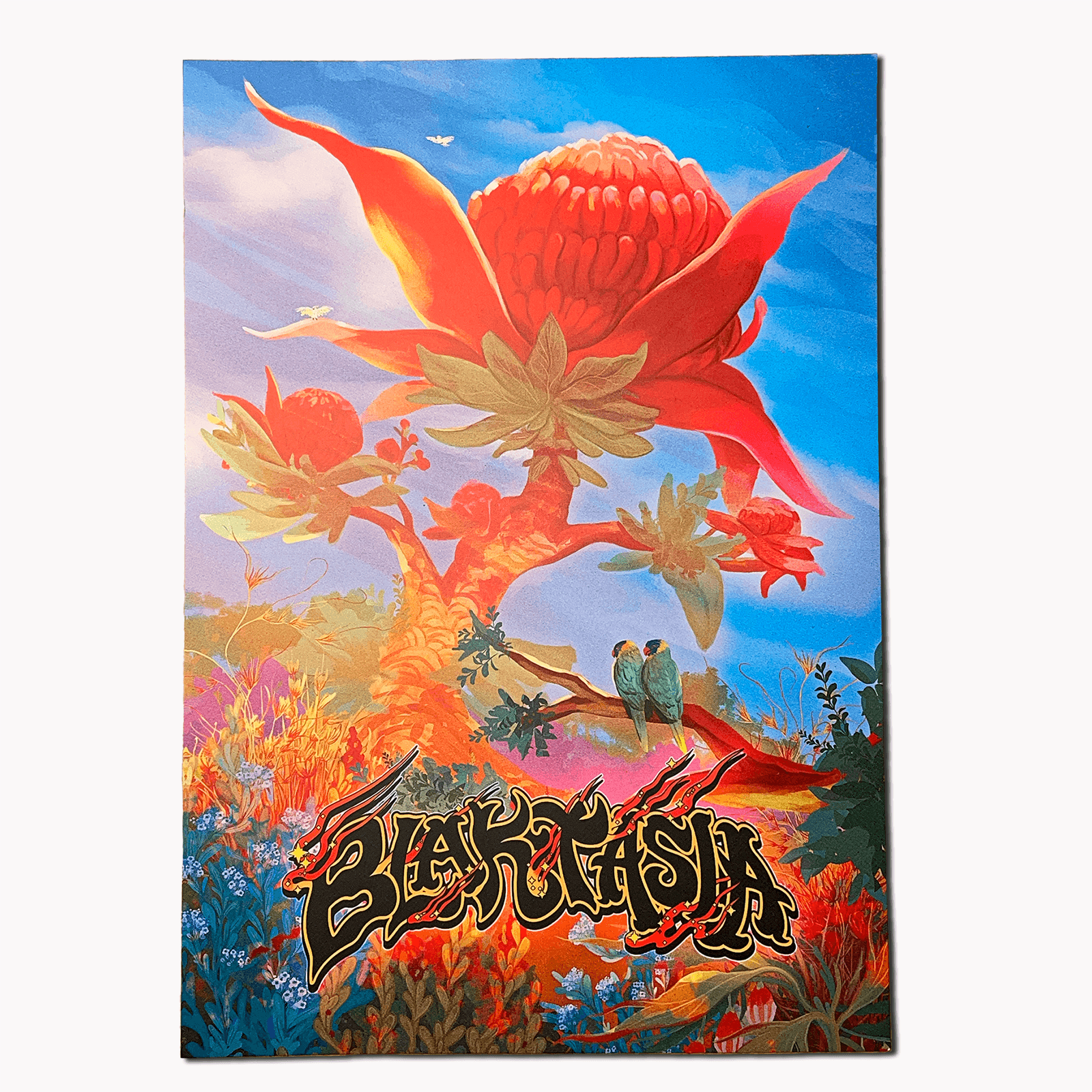 Waratah Art Print